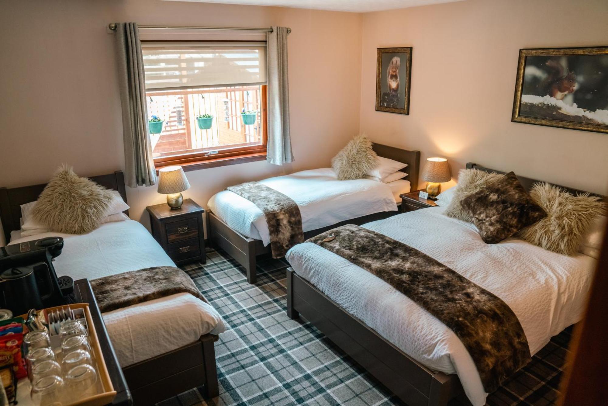 Eriskay B&B And Aviemore Glamping Eksteriør bilde